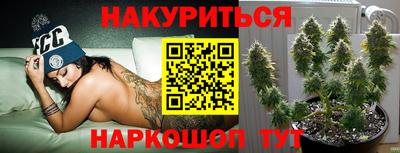 крисы Малоярославец