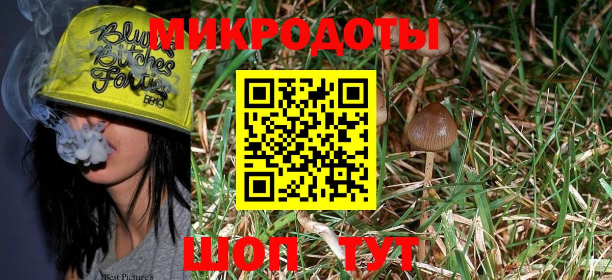 Домодедово  Псилоцибиновые грибы Cubensis  Вход с VPN 