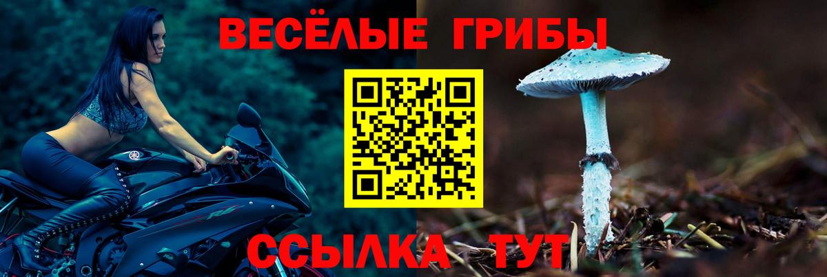 Галлюциногенные грибы Magic Shrooms Домодедово